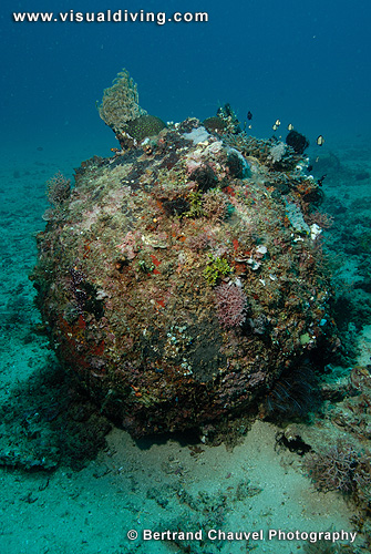 Underwater sphere (bomb ?) (UW2_8038)