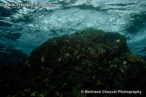 Rock and waves (UW2_8725)