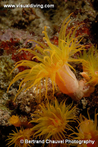 UW3_3064 (UW3_3064)