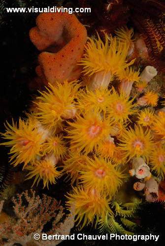 UW3_3068 (UW3_3068)