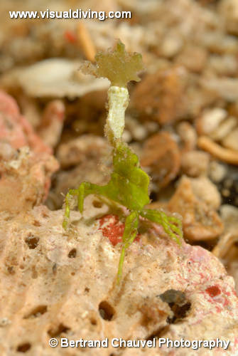UW4_0222 (UW4_0222)